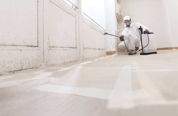24/7 Emergency Mold Inspection experts in West Decatur, PA